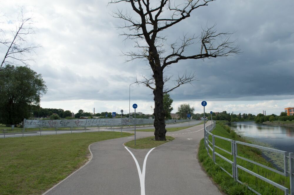 Esam nonākuši pie pirmā īstā veloceļa posma maršrutā! Tiesa, tas ir tikai pārdesmit metrus garš un izveidots, lai apbrauktu, šķiet, mirušu koku.