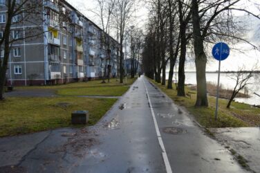 Horizontālais veloceļu marķējums iekrāsots ar neierastu regularitāti - ik pēc 5-10 metriem. Acīmredzot šādi dome centusies risināt problēmu ar gājējiem un velosipēdistiem, kuri neievēro baltos ceļa apzīmējumus.