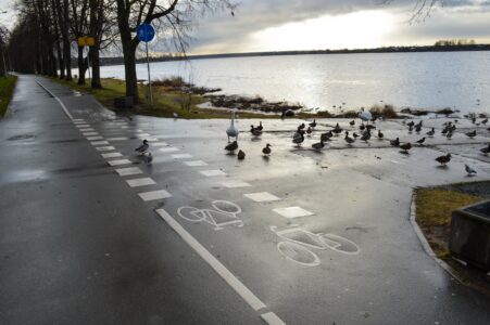 Promenādi pastaigām iecienījuši arī gulbji un pīles.