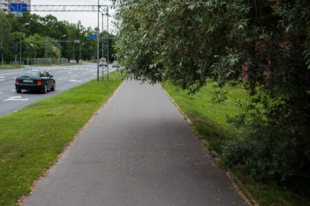 Kādā vietā kāds koks gadu gaitā apaudzis tik brangi, ka tas nobloķē teju visu bijušo ietvi.