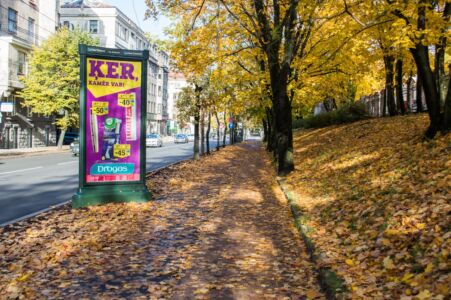 Zem lapām paslēpies standartam neatbilstošs divvirzienu veloceļš. Ja tas būtu vienvirziena veloceļš un abās pusēs ielai, tad vēl tas būtu pieņemams risinājums. Šībrīža risinājums ir neapmierinošs.