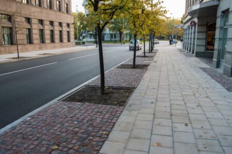 Kr. Valdemāra ielas nepāra numuru pusē raupjais bruģis ieklāts visā zonā starp kokiem.