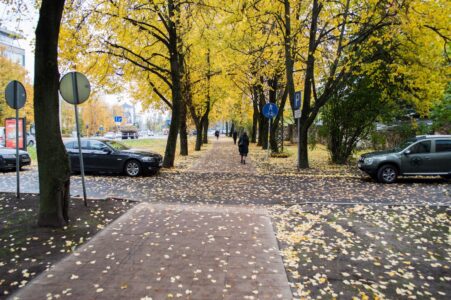 Kr. Valdemāra iela 110