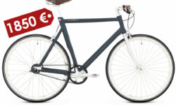 AUGSTO CENU KATEGORIJA - tiem, kas grib izcelties ar kaut ko īpašu, bet tajā pašā laikā klasiskā
stilā ieturētu. Īpaši viegls pilsētas velosipēds, augstākās kvalitātes
komponentes, ādas sēdeklis un rokturi. Tradicionālās metāla ķēdes vietā
tas aprīkots ar karbona šķiedru siksnu: tā tikpat kā nestaipās, tā nekad
nav jāeļļo un tā ir klusāka par metāla ķēdi. Apvienojumā ar ātrumu rumbu
velosipēds prasa minimālu vajadzību pēc apkopēm. Schindelhauer Ludwig