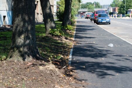 Jaunā ietve izbūvēta tieši gar koku stumbriem.